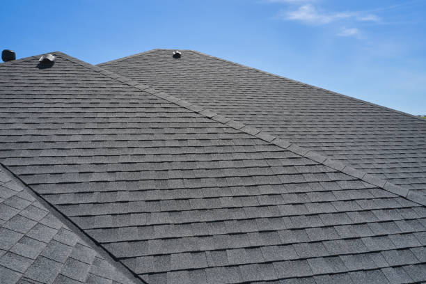 Best Roof Moss and Algae Removal  in Clinton, NY